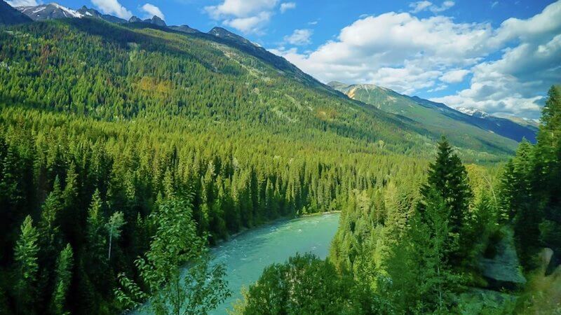 Forests of the Rocky Mountains