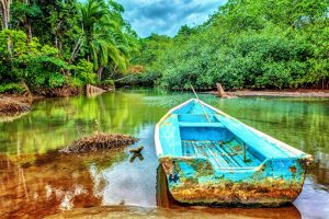 tropical riverside with rowboat