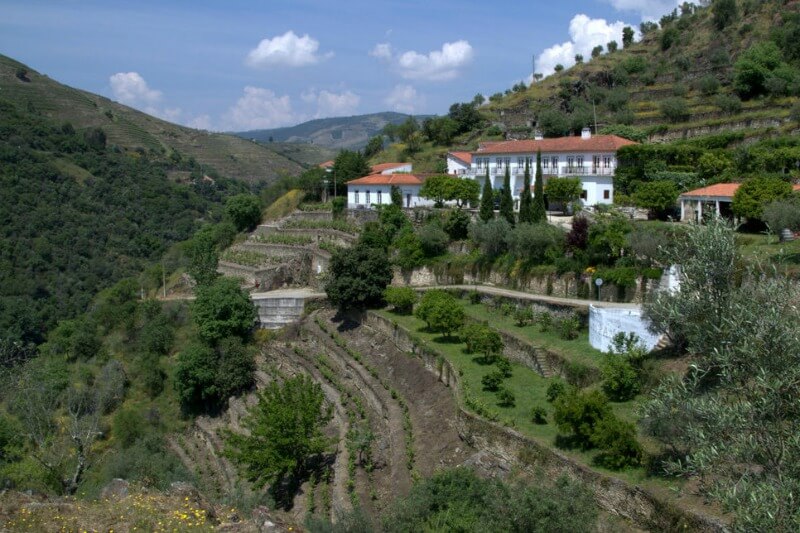 Quinta do Panascal