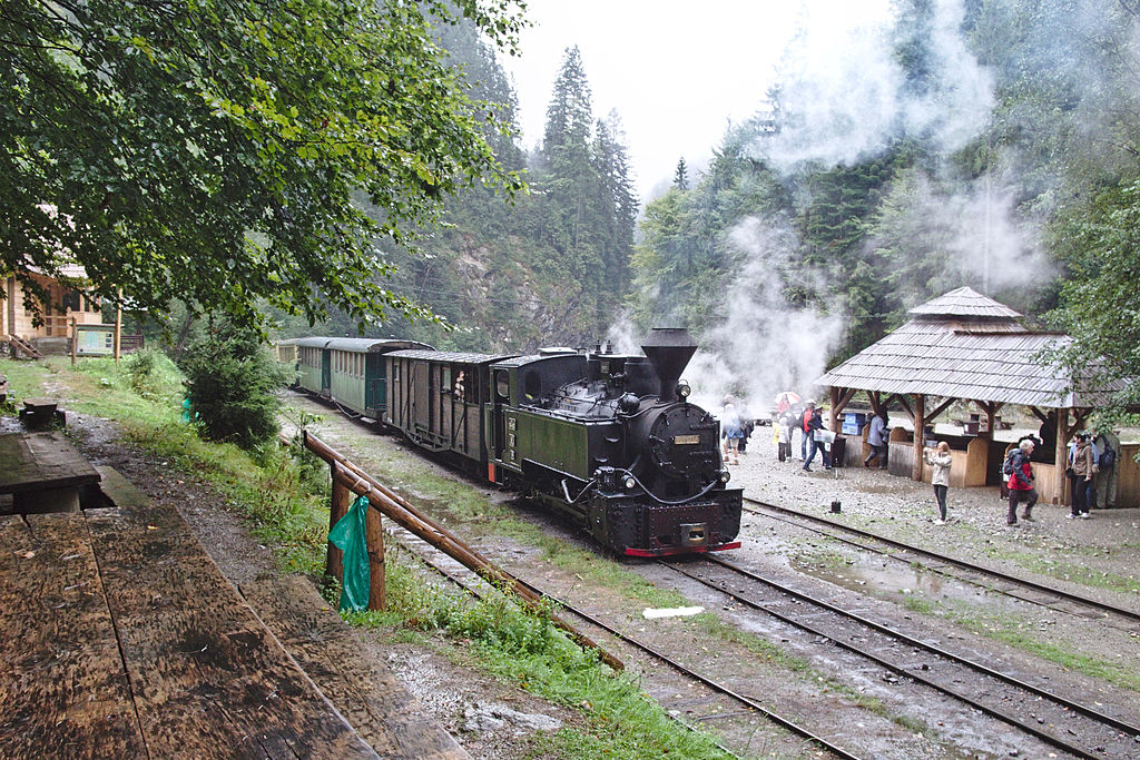 Maramures train