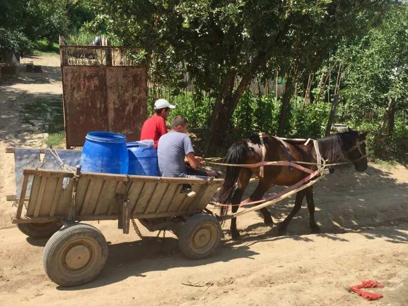 Cart and horse to fetch water in Roma village