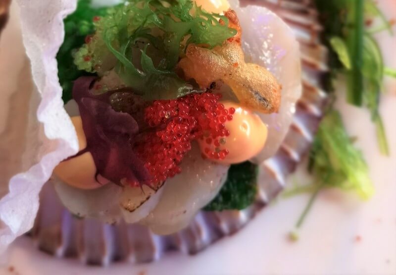 Spanish appetizers - carballolaurel scallop on algae rice