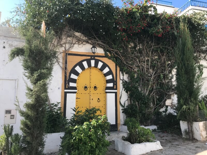 Tunisian door in Sidi Bou Said, Tunis Governorate