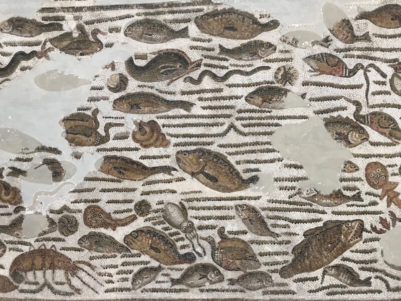Roman floor mosaics in Tunis, Tunisia