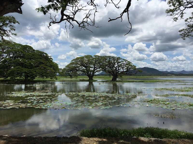 organized tours still allow you flexibility - like this isolated area of Sri Lanka