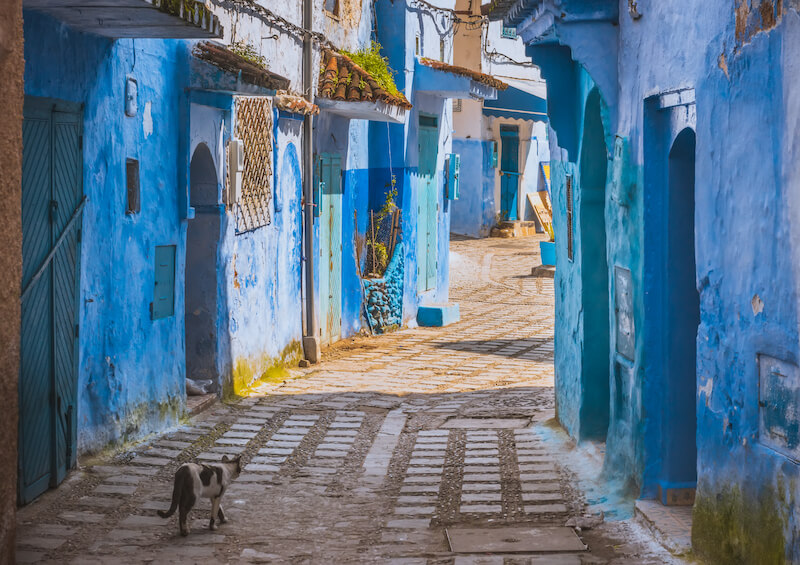 Blue walls of Chefchaouen, Morocco