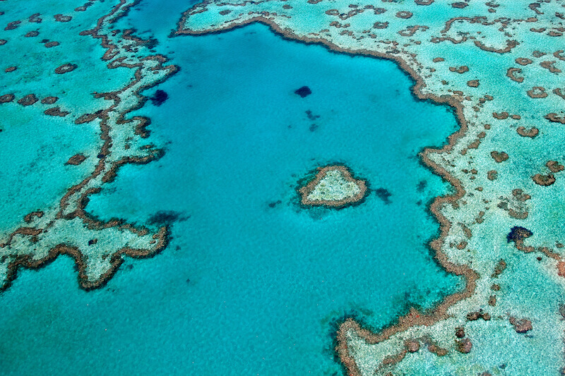 Solo travel Australia - Great Barrier Reef