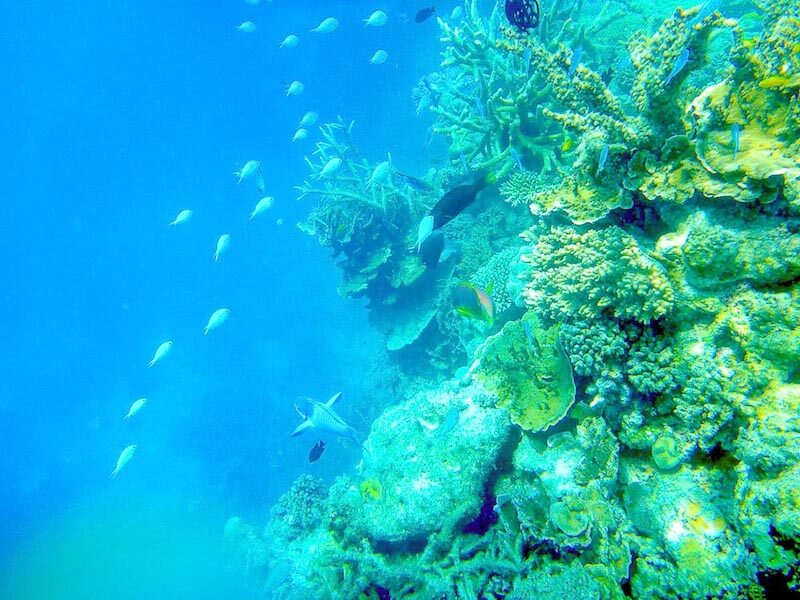 Travel to Queensland - Great Barrier Reef