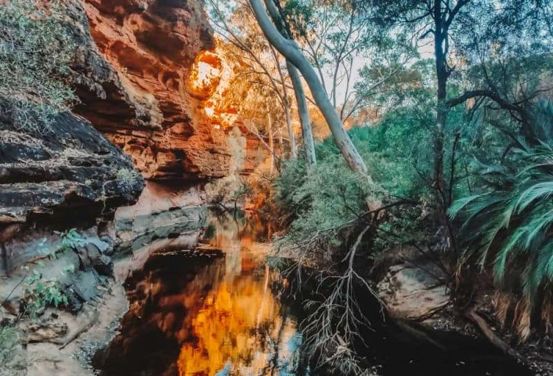Kings Canyon, Central Australia