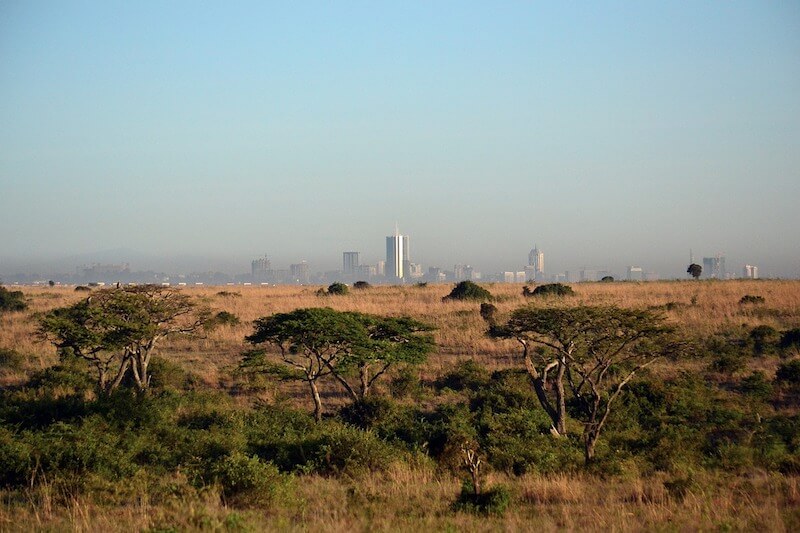what to do in Nairobi for one day - view the city from the national park