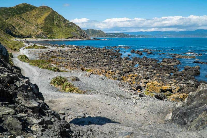 Red Rocks New Zealand