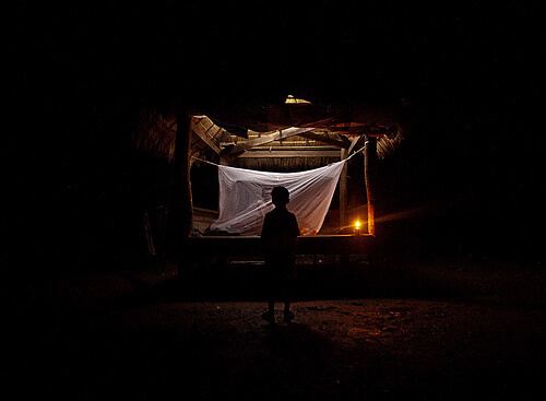 Bednet - avoiding malaria when you travel