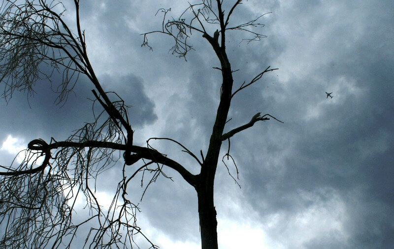 Stormy skies: adds to fear of flying
