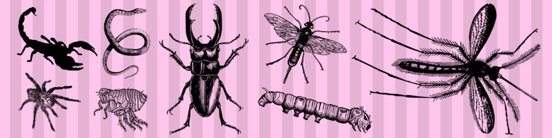 mosquito net for travel to africa drawings of insects