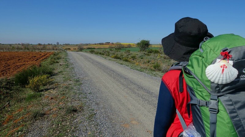 On the Camino to Santiago