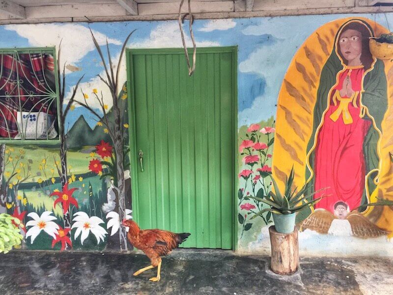Gaily painted houses of coffee farmers where Colombia Tolima coffee comes from