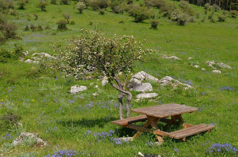 Picnic table - mosquitoes are attracted to smells and food