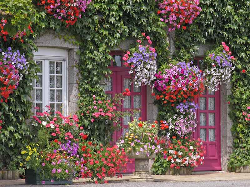 virtual tours - house covered in flowers