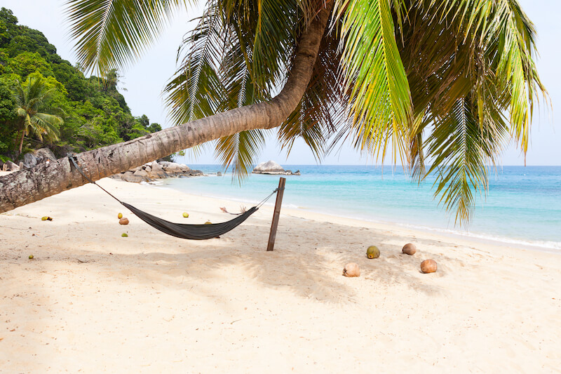 beach with hammock and palm tree in the Caymans