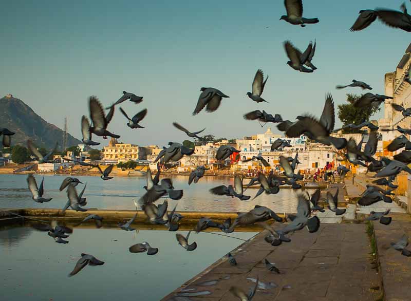 Pushkar Rajasthan - ideal for India solo travel