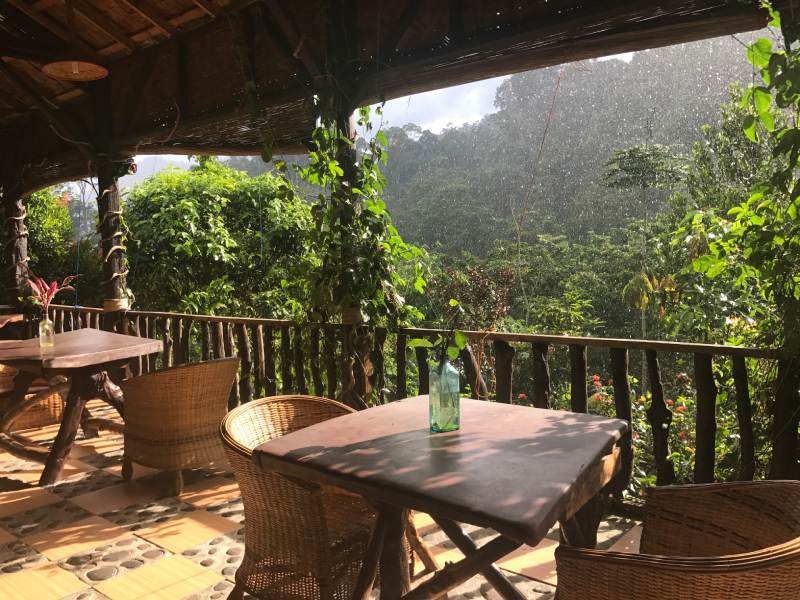 Restaurant overlooking the jungle in Tangkahan