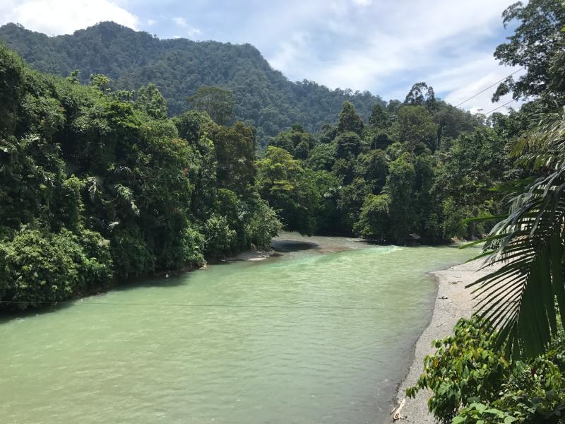 Sumatra tourism: River on the edge of the Gunung Leuser National Park (Tangkahan Village)