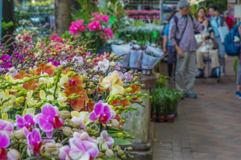 Hong Kong Flower market